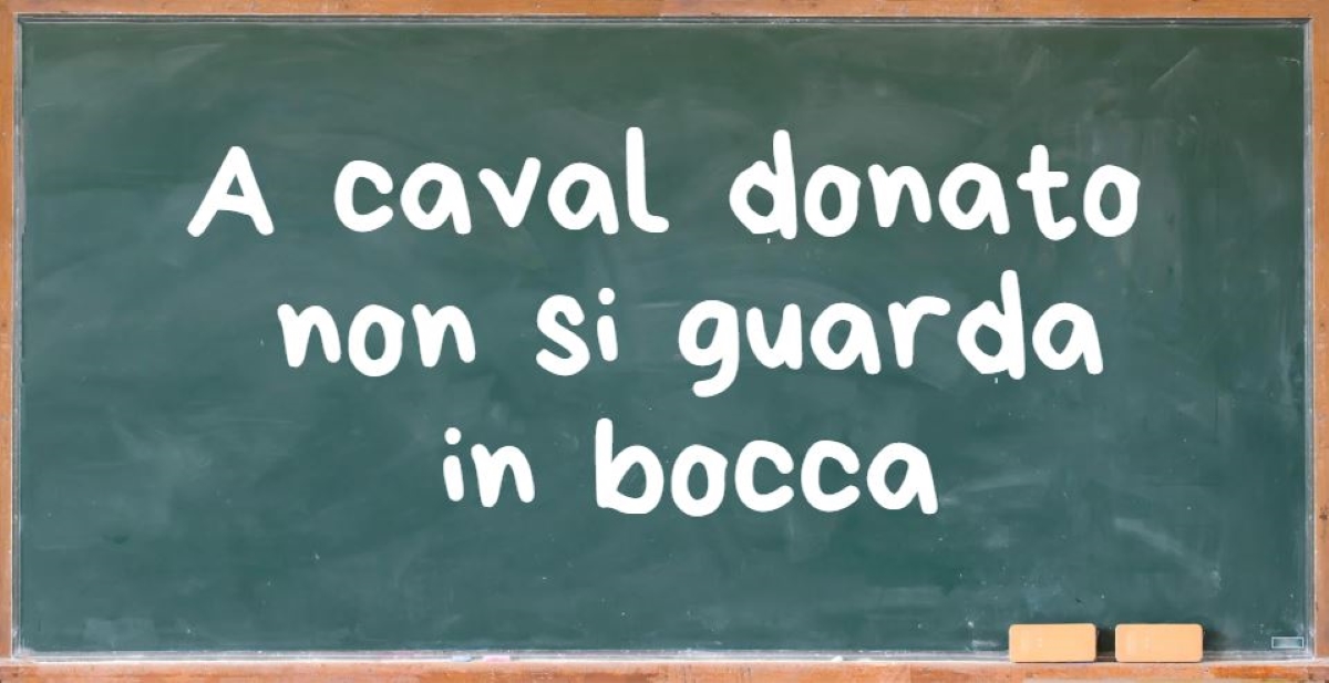 “A CAVAL DONATO NON SI GUARDA IN BOCCA” – ANALISI LINGUISTICA